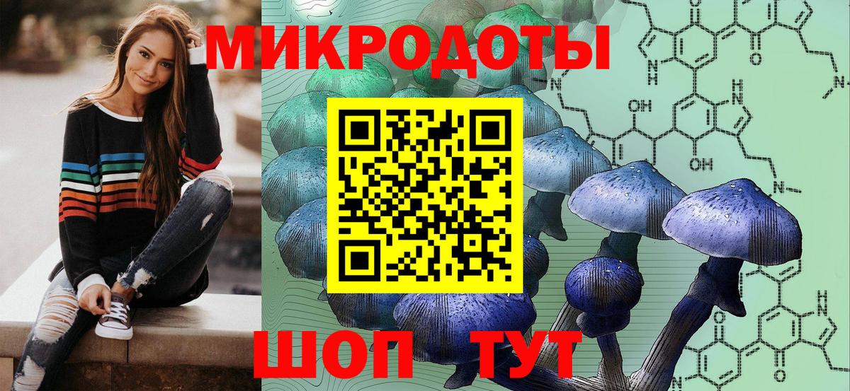 Псилоцибиновые грибы Psilocybe Каспийск