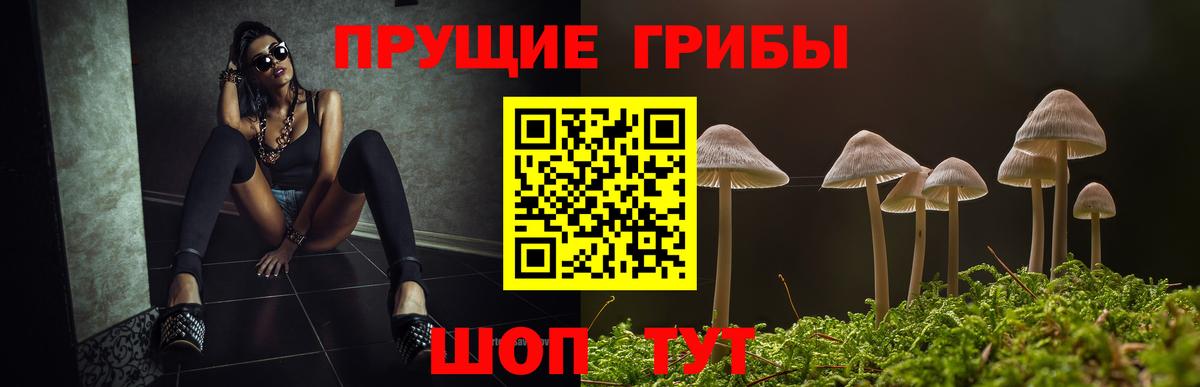 Каспийск  Галлюциногенные грибы GOLDEN TEACHER  Галлюциногенные грибы Psilocybine cubensis  Вход с VPN 